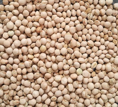 white fiofio for fiofio pigeon peas