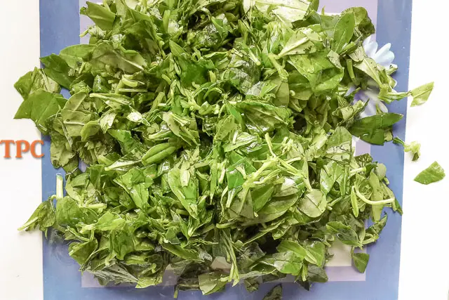 water leaf chopped for afang soup