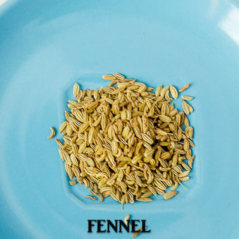 Fennel 1 2 Mackerel in Tomato Sauce