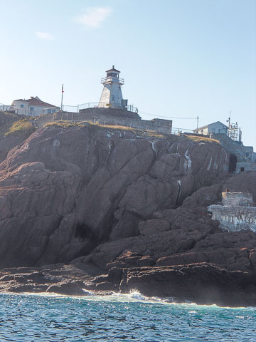 cape spears lighthouse (newfoundland tea buns)