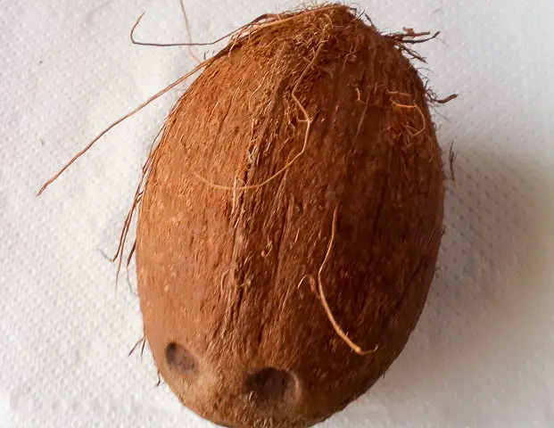 whole coconut for Indian coconut ladoo