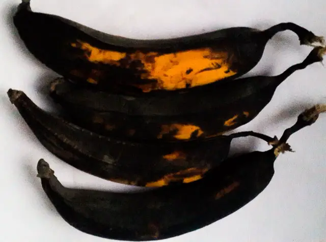 overripe plantains for ukpo ogede, nigerian plantain pudding