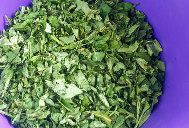 shredded shoko vegetable for for Efo riro (vegetable soup)