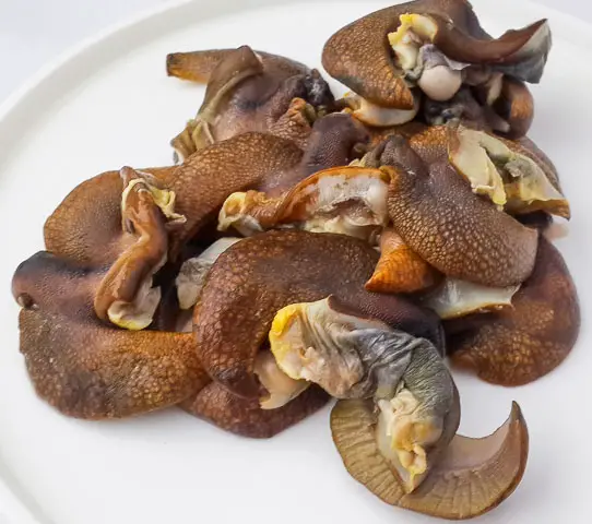 snails for ofe owerri