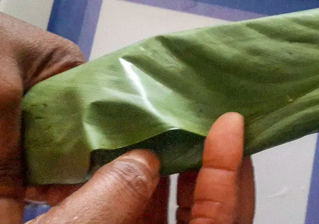 agidi jollof being wrapped in leaves