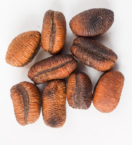 ehuru 1 2 Nigerian cuisine: 32 Essential Nigerian food ingredients