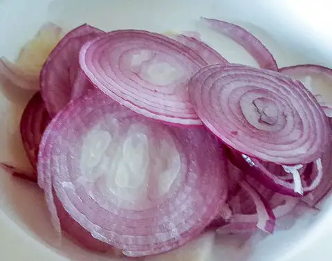 sliced onions for homework