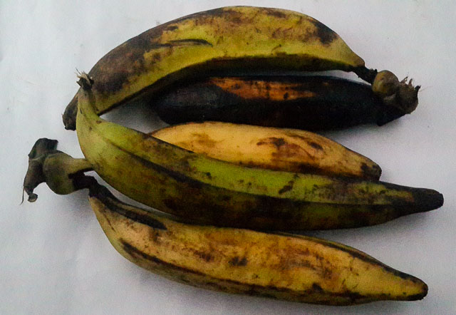 plantains for plantains porridge