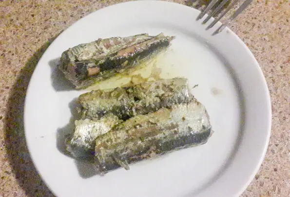 sardine -1