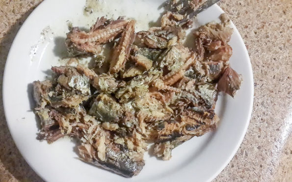 sardine -1-2