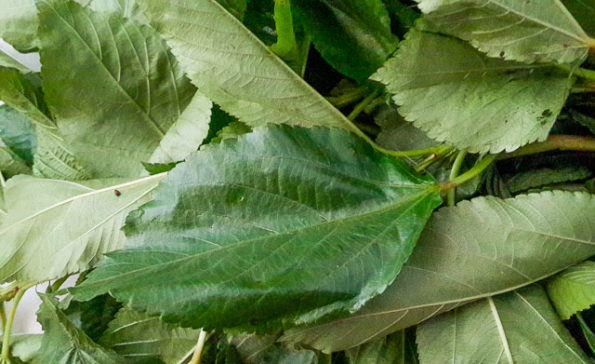 arirala for vegetable yam (ji akwukwo)