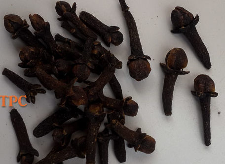 Cloves