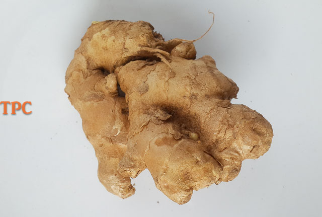 Ginger root