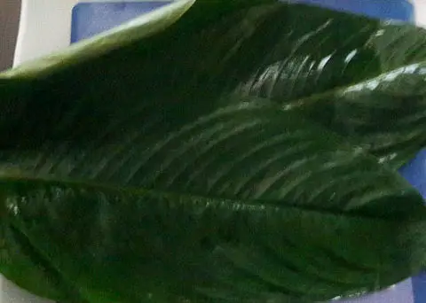 Uma leaves used for wrapping okpa