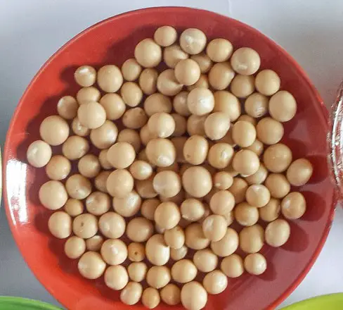 shelled dry okpa seeds (Bambara ground nuts)