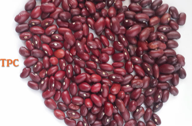 Red kidney beans