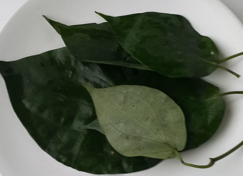 Uziza leaf