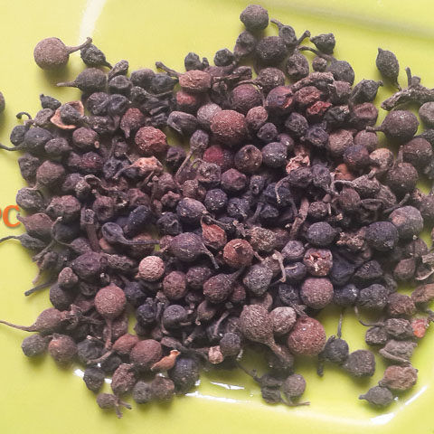 uziza seed dry 1 Nigerian cuisine: 32 Essential Nigerian food ingredients