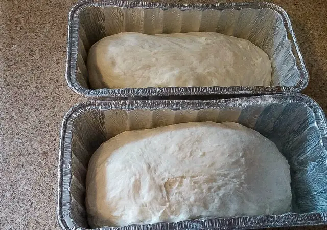 soft potato bread dough in loaf tins