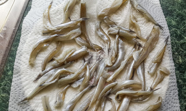 Nigerian crispy fried whitebait fish