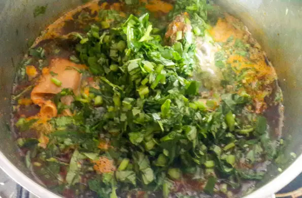 vegetable-soup-1-6
