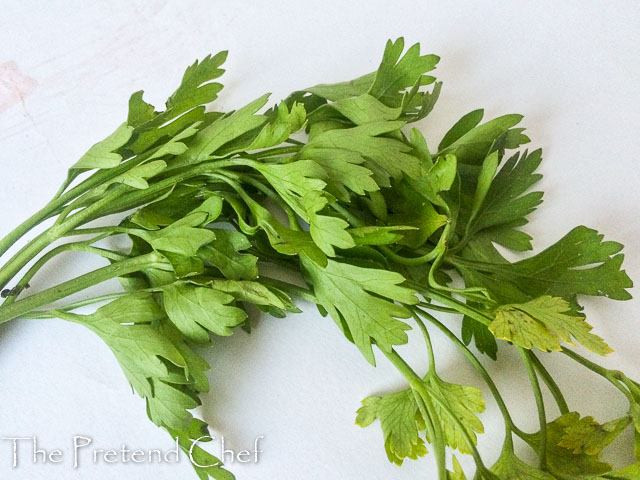 Coriander leaf, Cilantro