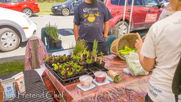 farmers-mkt-1-3