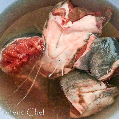 catfish in a bowl of water