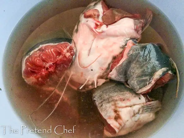 catfish in a bowl of water