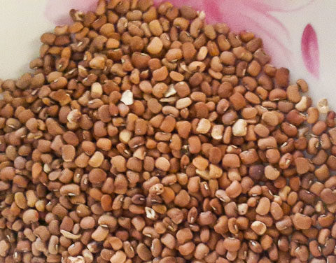 Honey beans for nigerian beans porridge