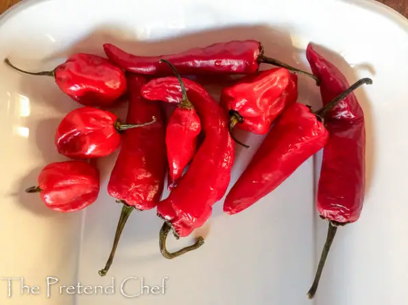peppers for sweet chilli pepper sauce
