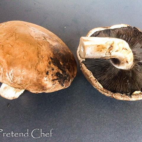 portobello mushroom