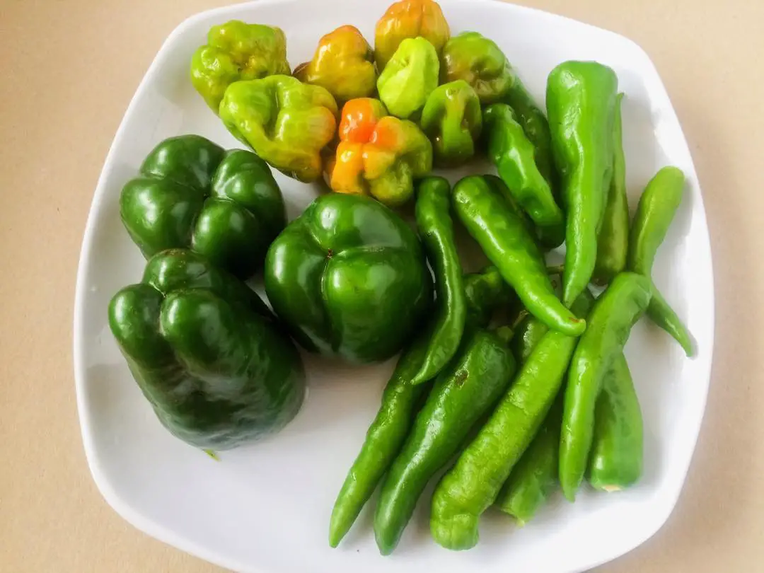 Green peppers in a plate
