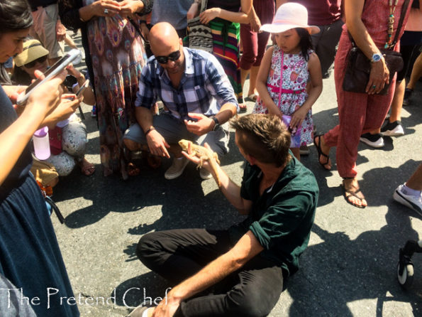 man with pet, Pedestrian sunday in Kensington 201