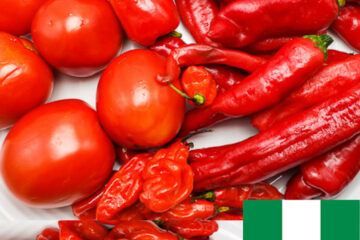 Nigerian ingredients 1 5 Nigerian cuisine: 32 Essential Nigerian food ingredients