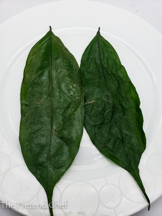 Fresh Editan leaves